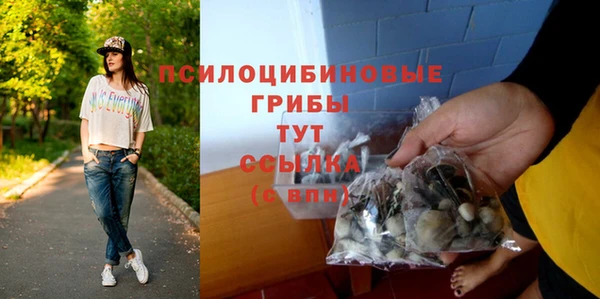 амф Белокуриха
