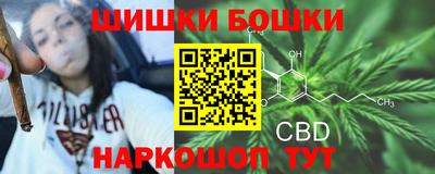 мдпв Беслан