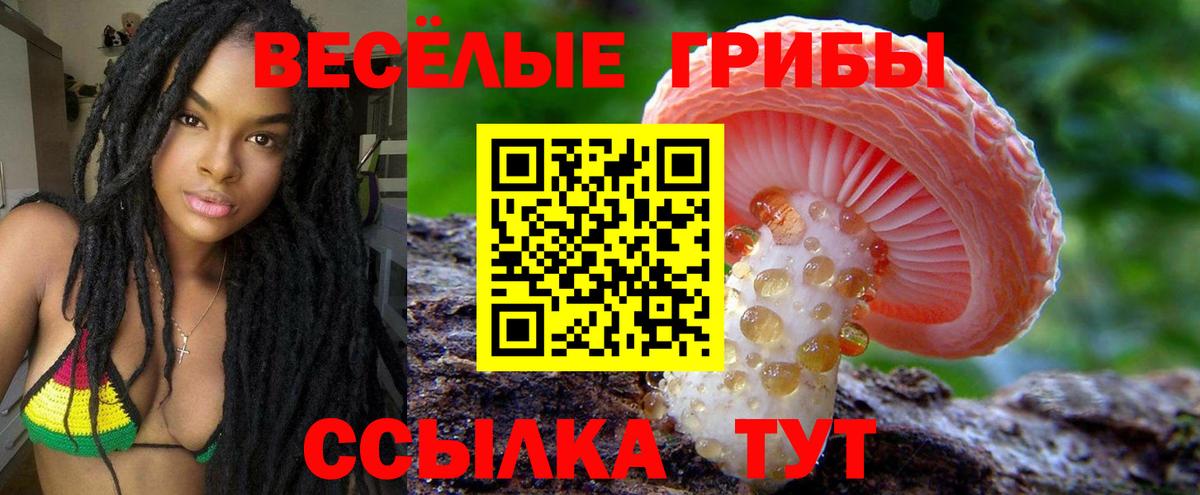 Псилоцибиновые грибы прущие грибы  Вход с VPN  Губкинский 